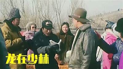 《龙在少林》电影全集观看攻略与资源汇总